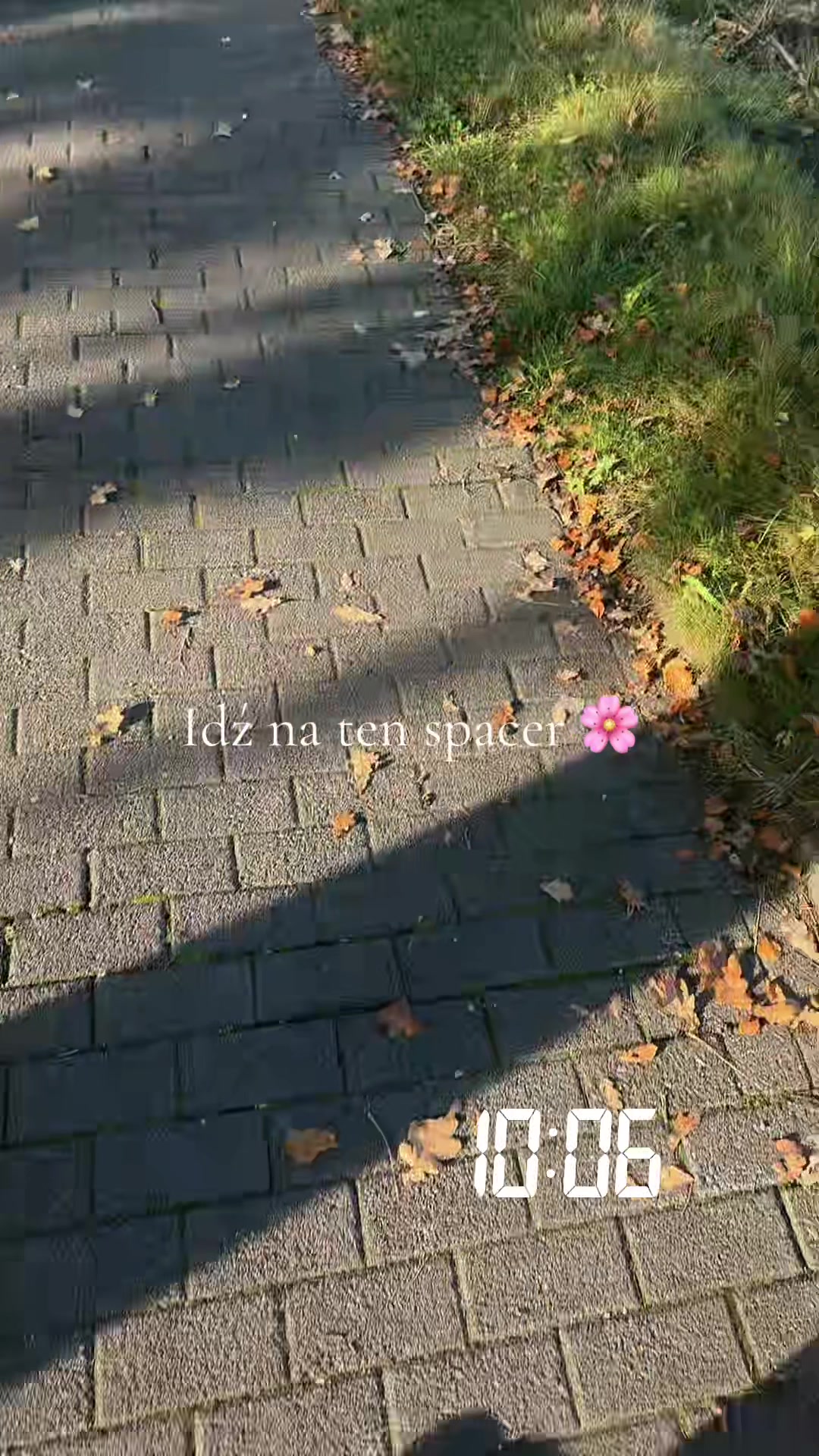@𝓓𝓪𝓻𝓲𝓪 ♏️