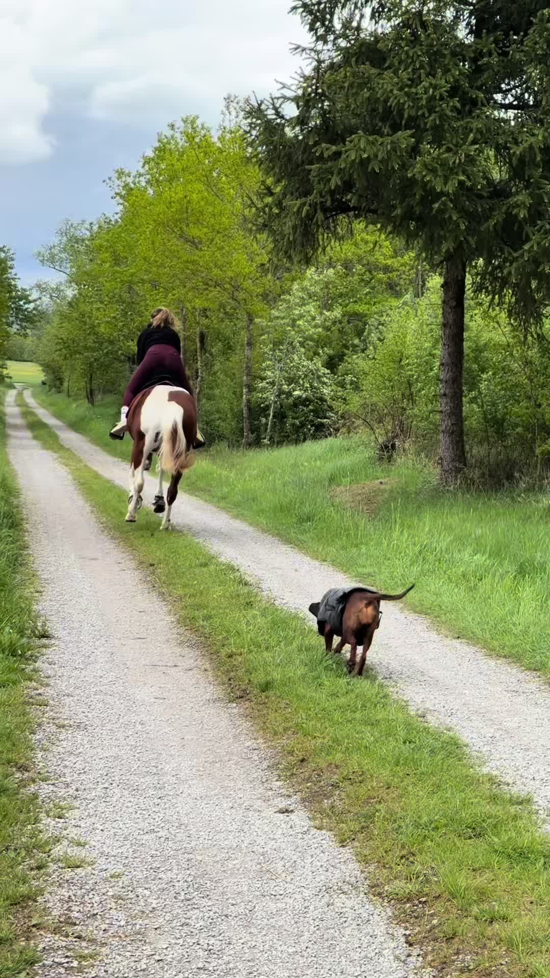 @Letynnxhorses