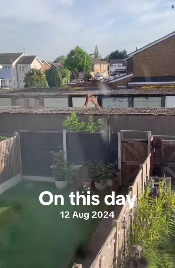 @BANTERBIBLE