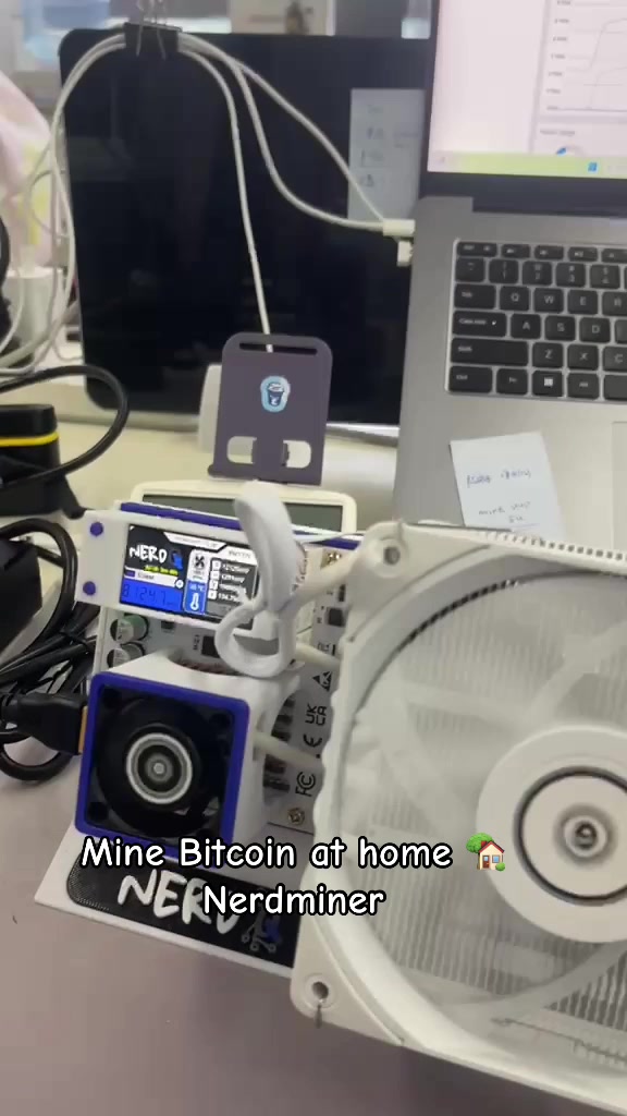 @Bitcoin Capitalist&ensp;✈️