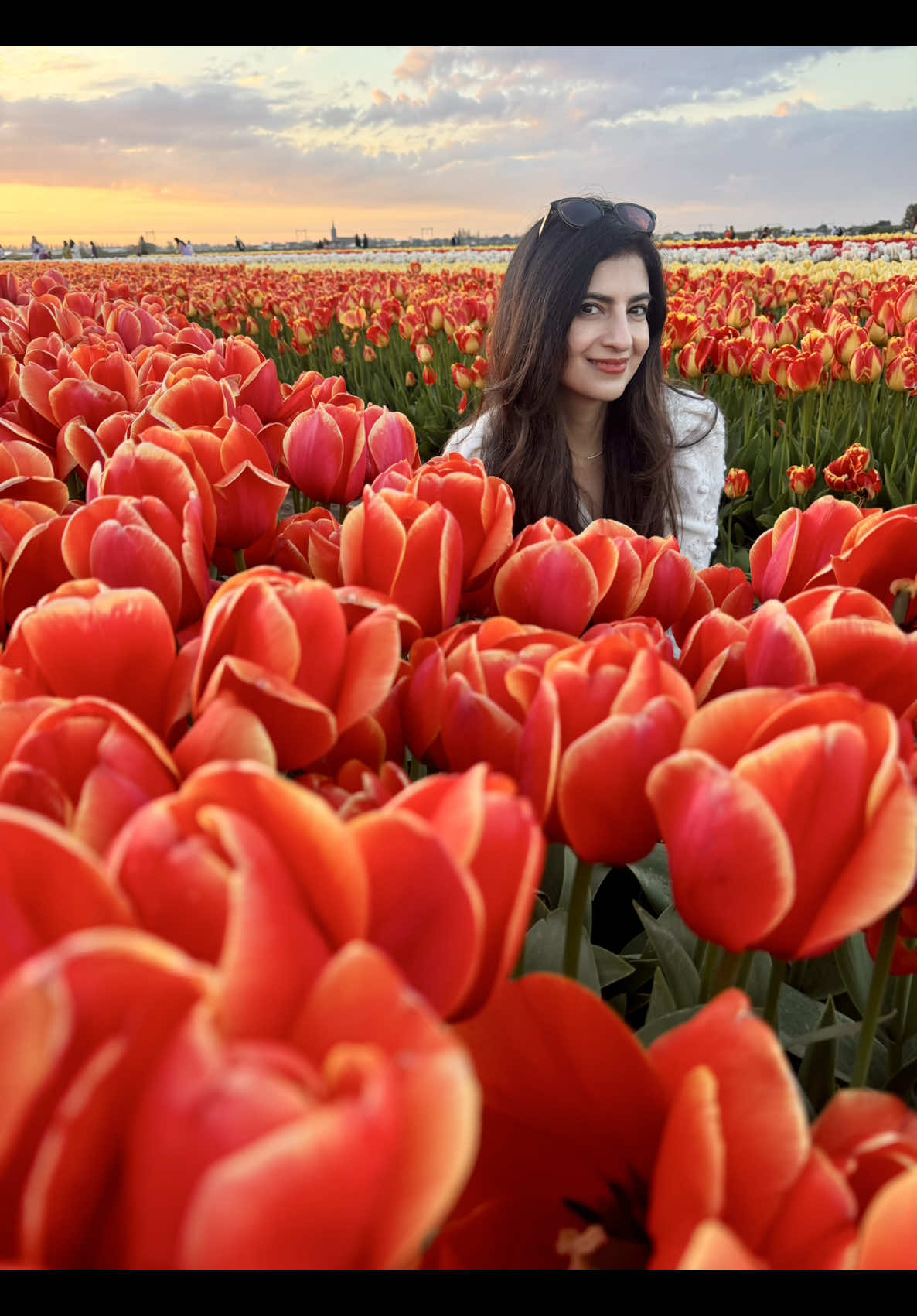 @Nadine Ali