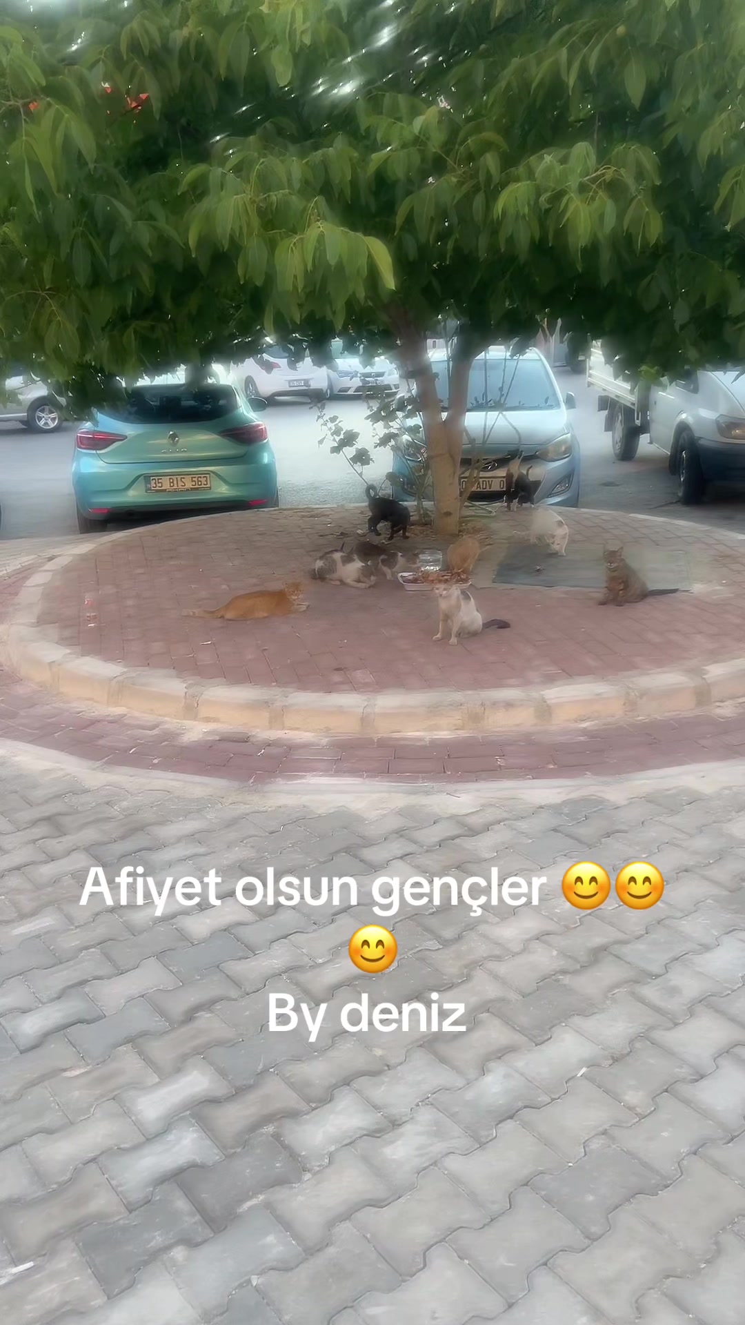 @By deniz 3509