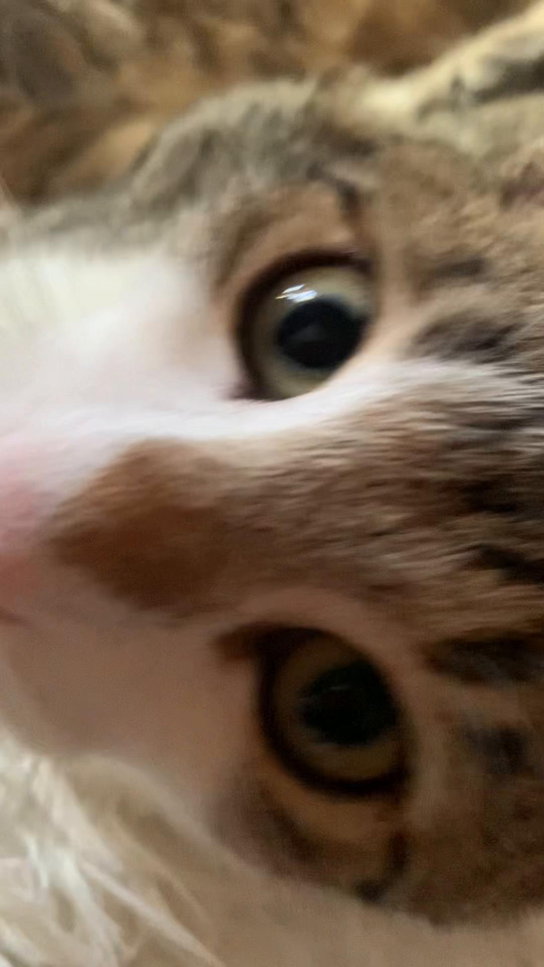 @chatvabien67