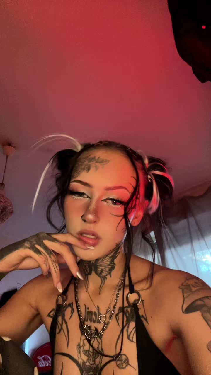 @kim4ni.png