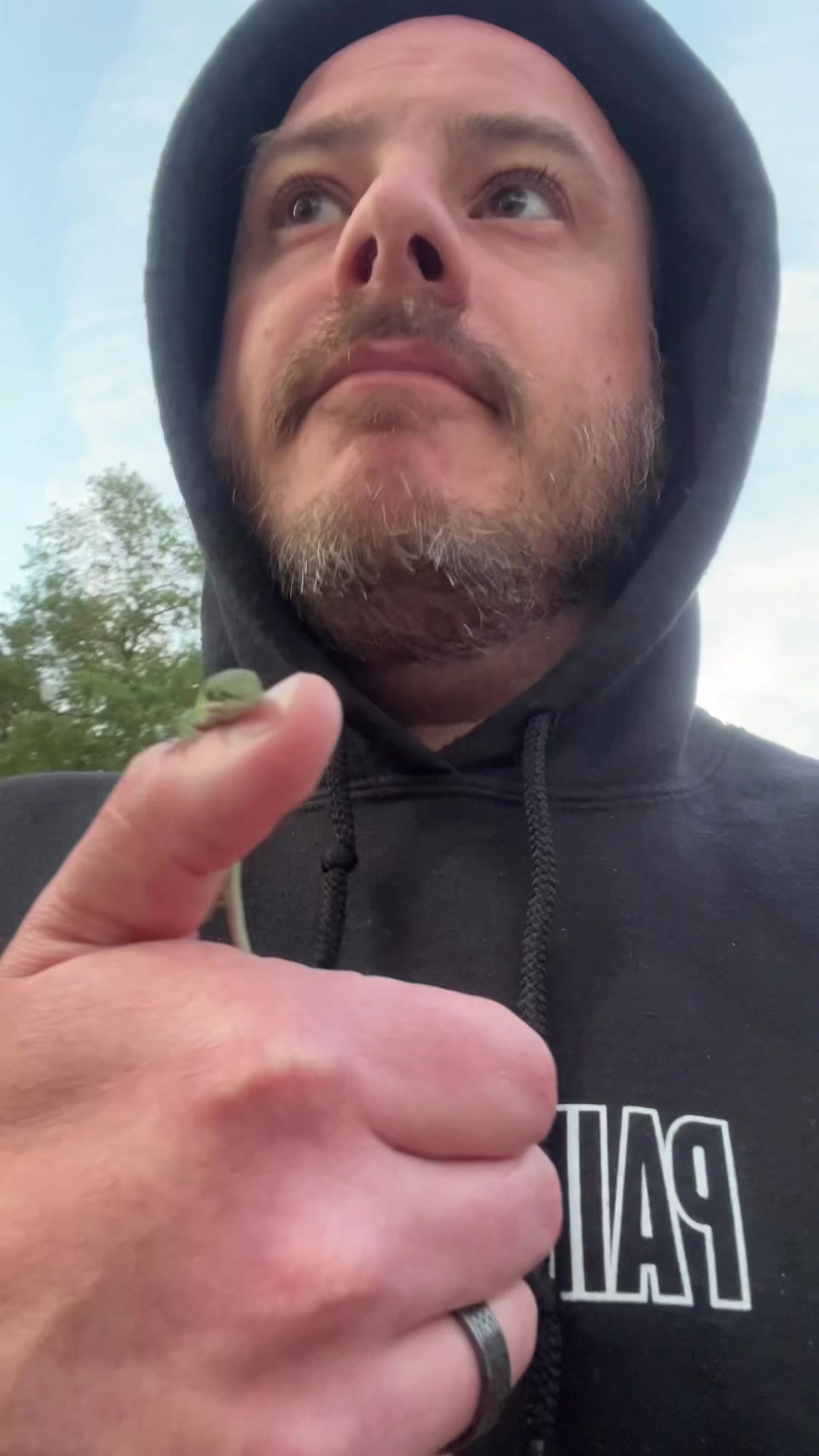 @rileys_reptiles