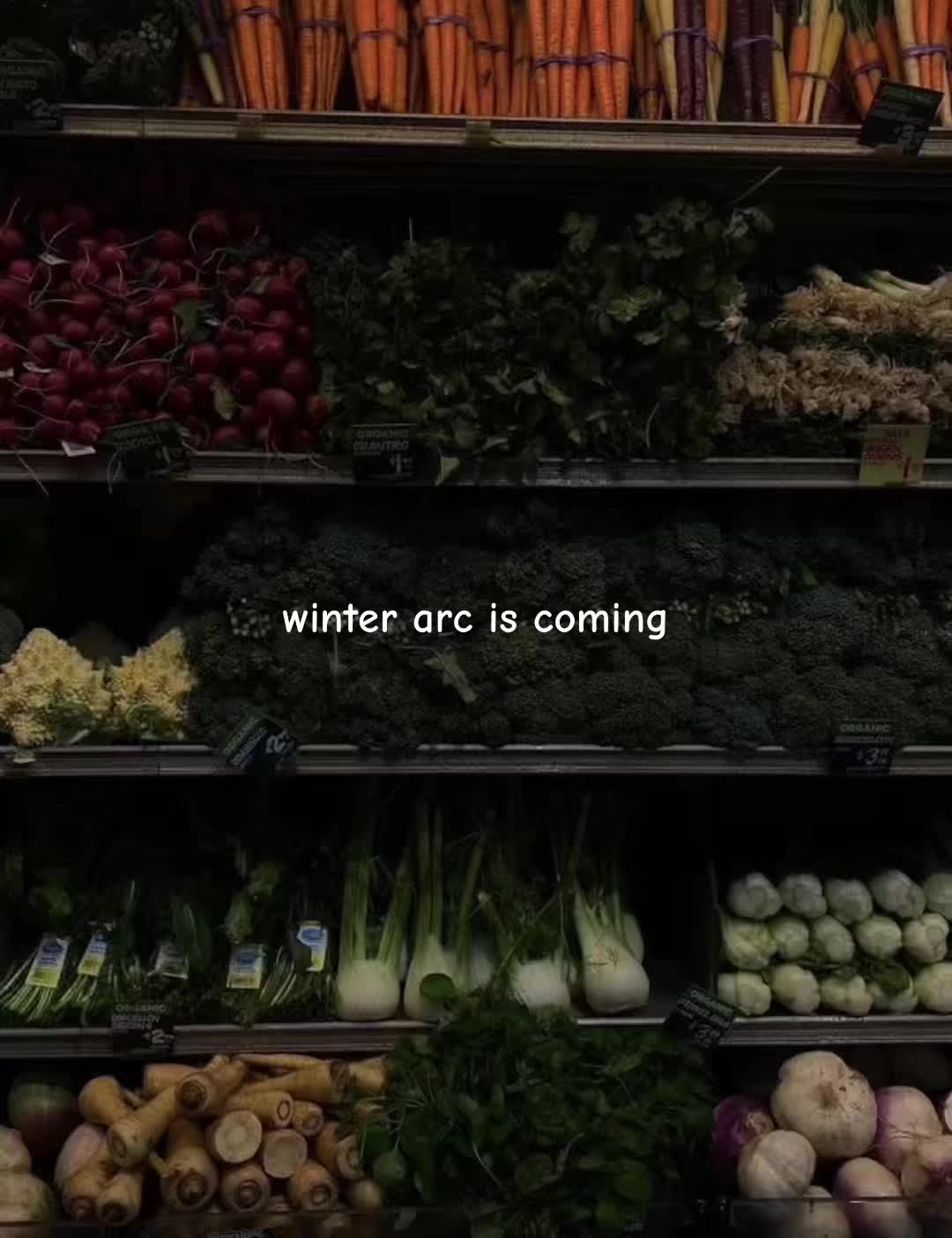 @lilou🤍