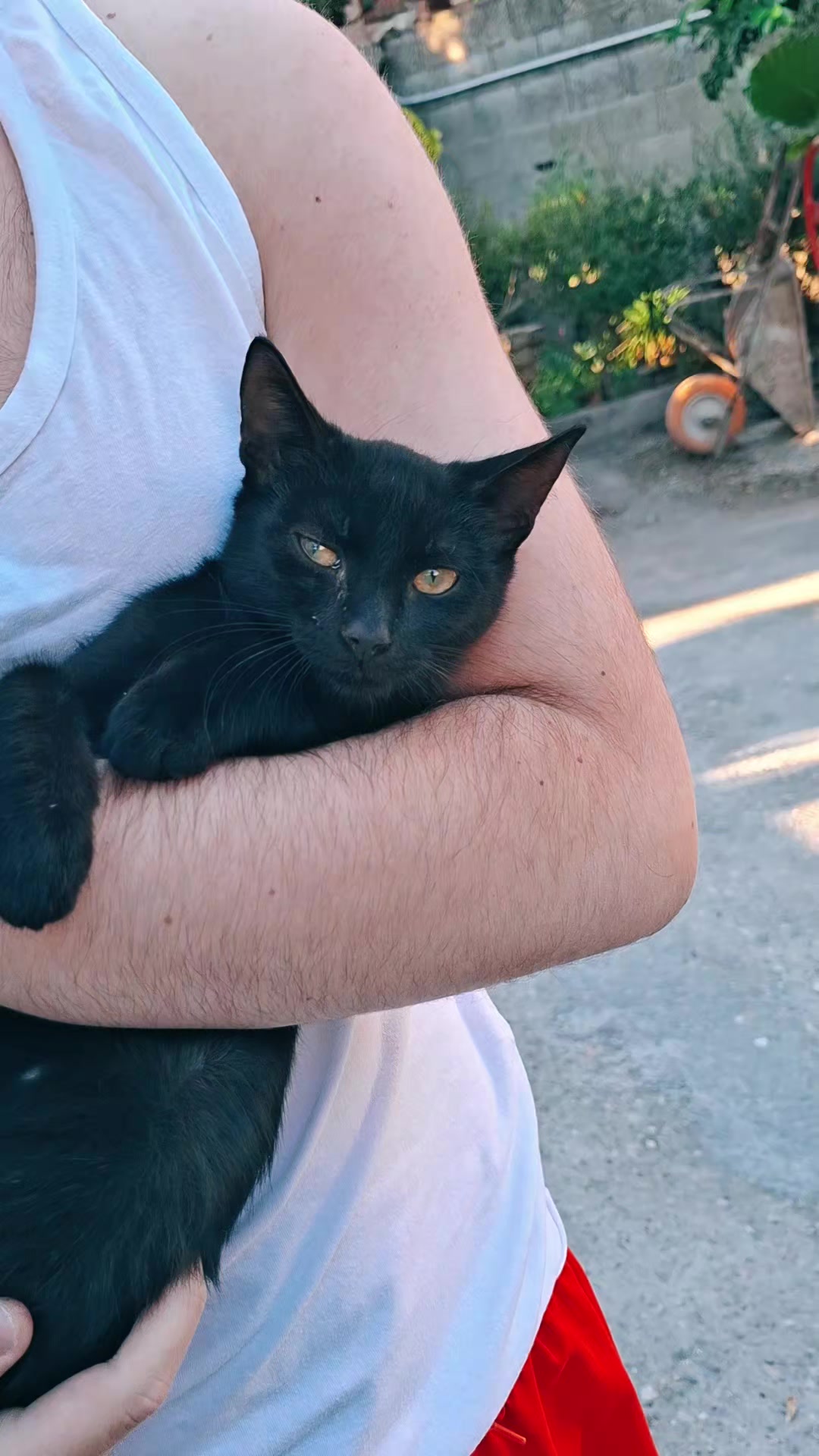 @Luisa Ferrante