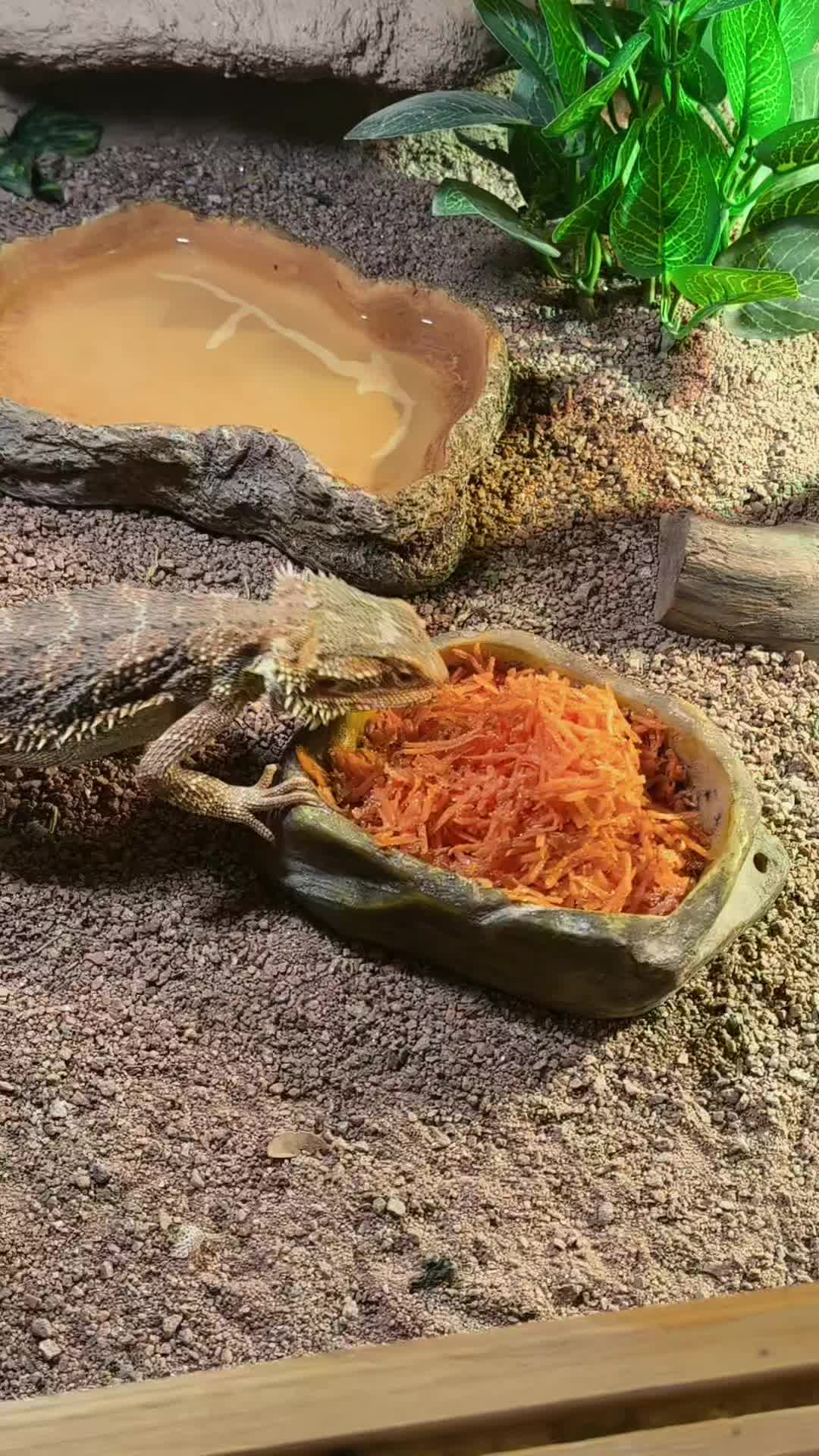 @♈𝑴𝒂𝒕𝒛𝒊𝑴𝒂𝒕𝒛𝒆♈