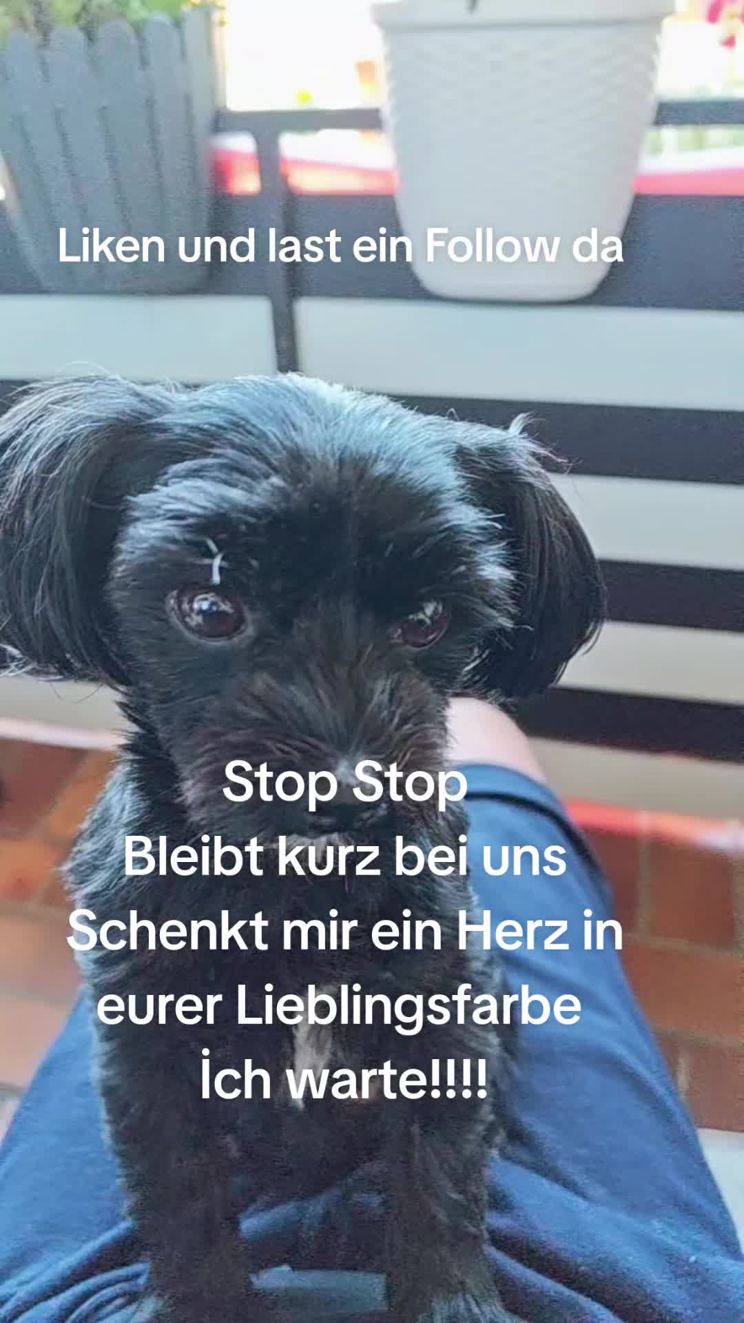 @P&ouml;ppi