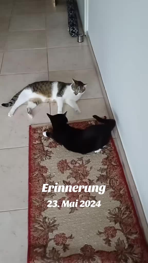 @Floky&Loky