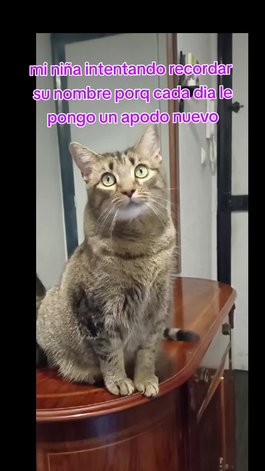 @Ana y los cuatro🐾