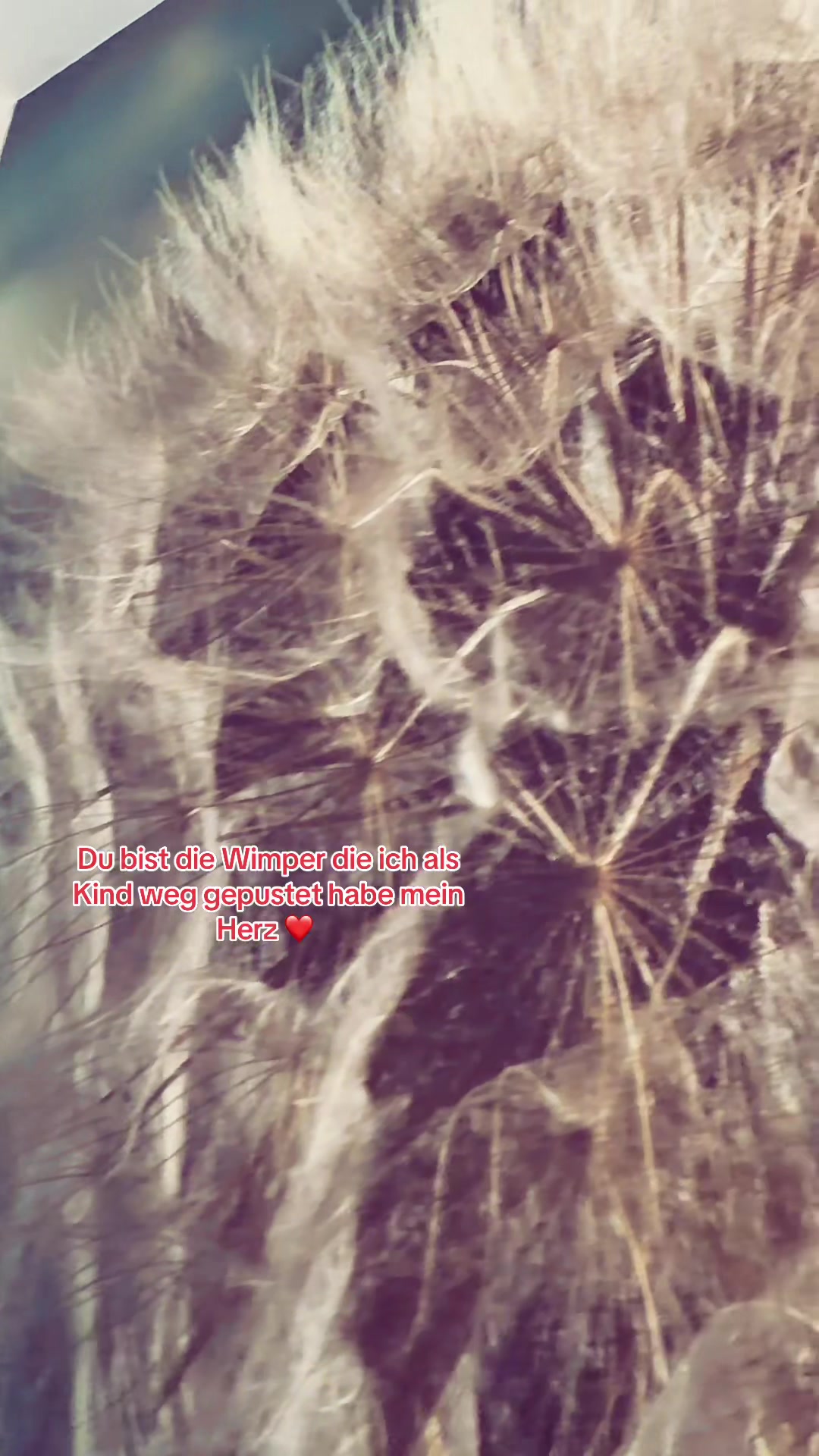 @(L+M)🥀❤️