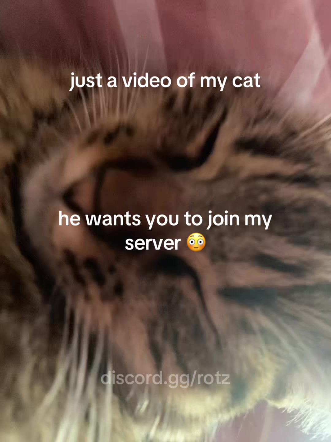 @r0tzzix