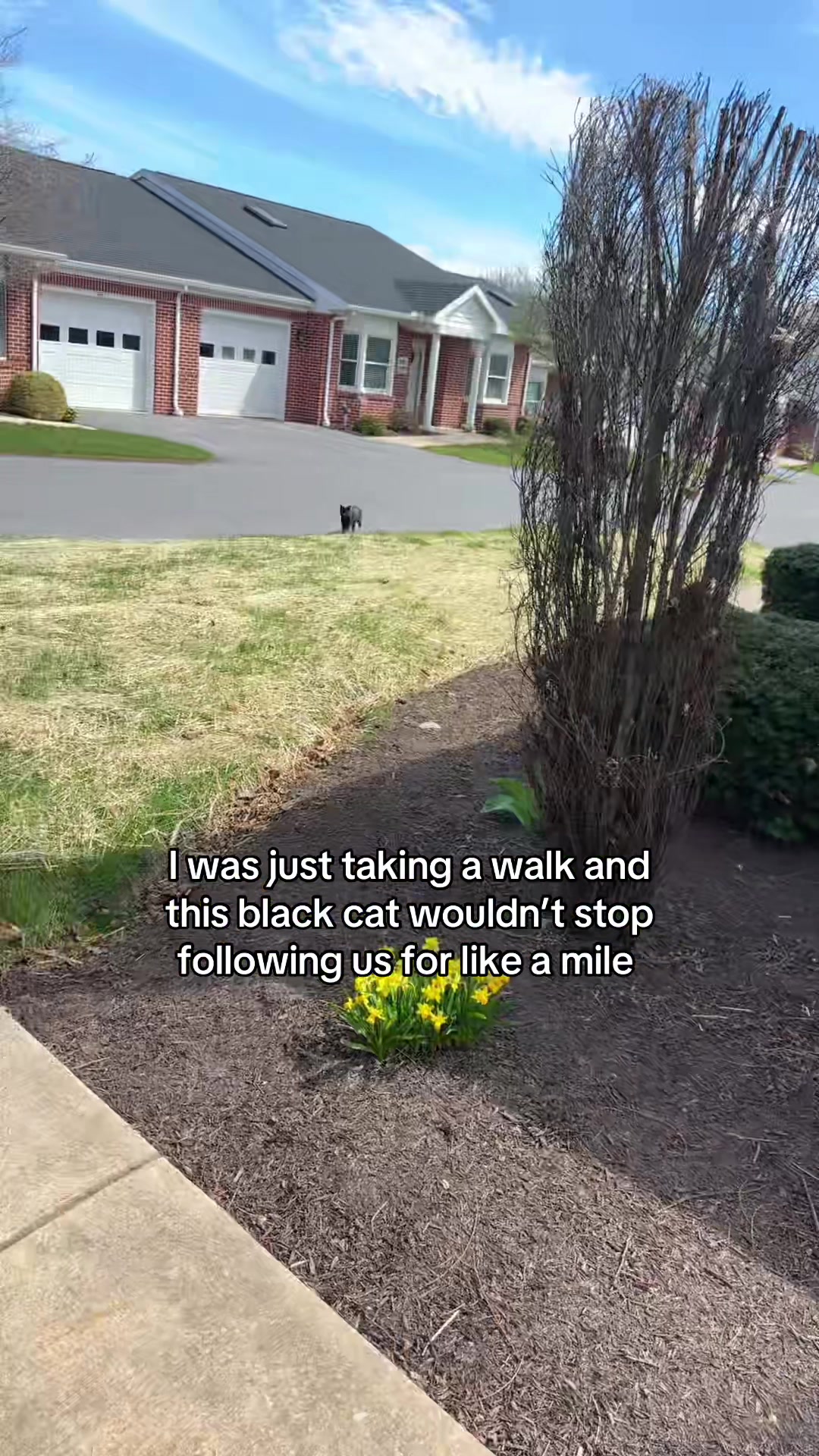 @briana