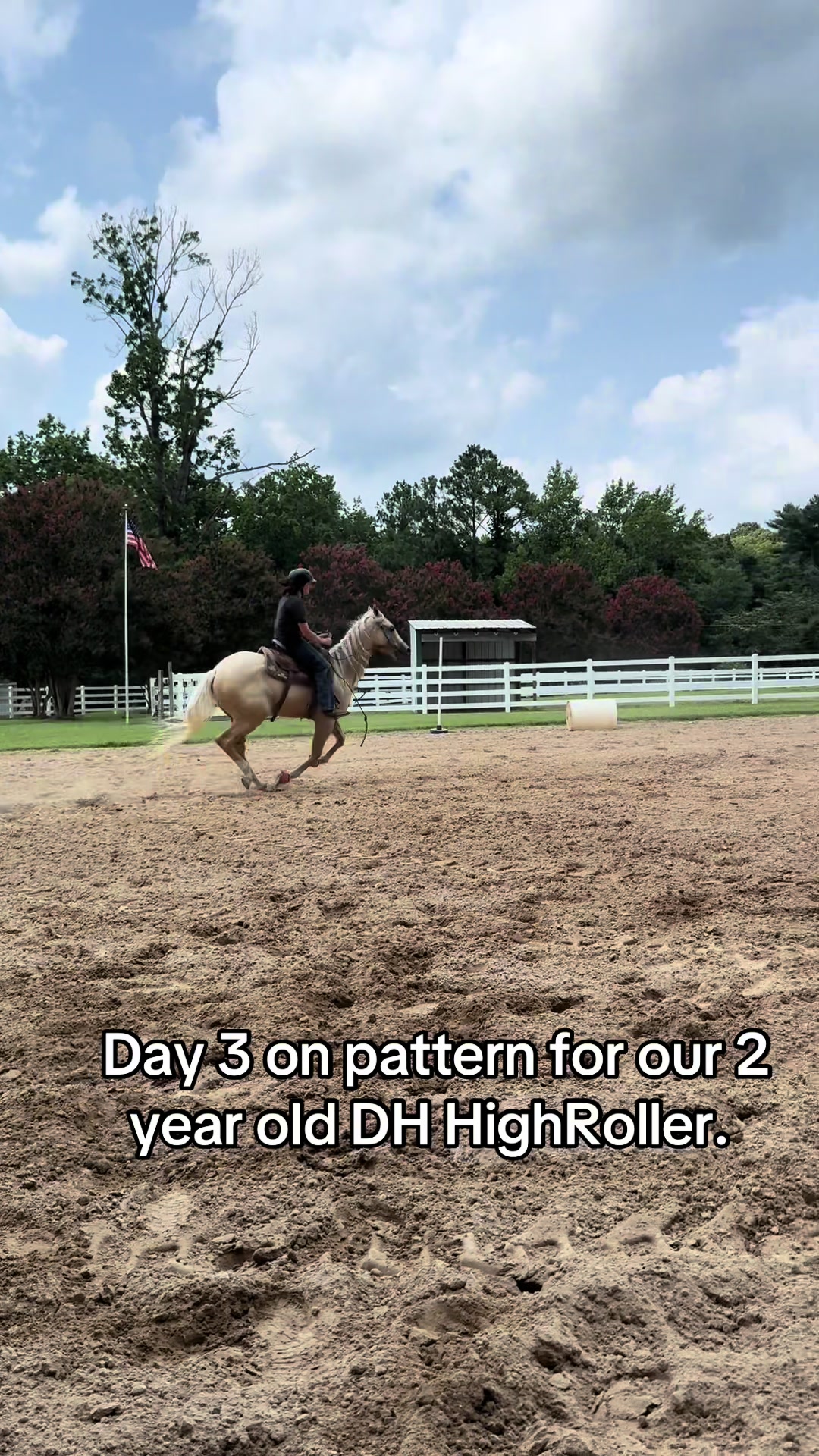 @Barrel racing dad