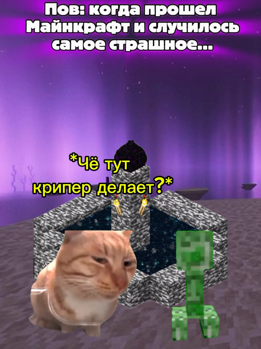 @MisterCat