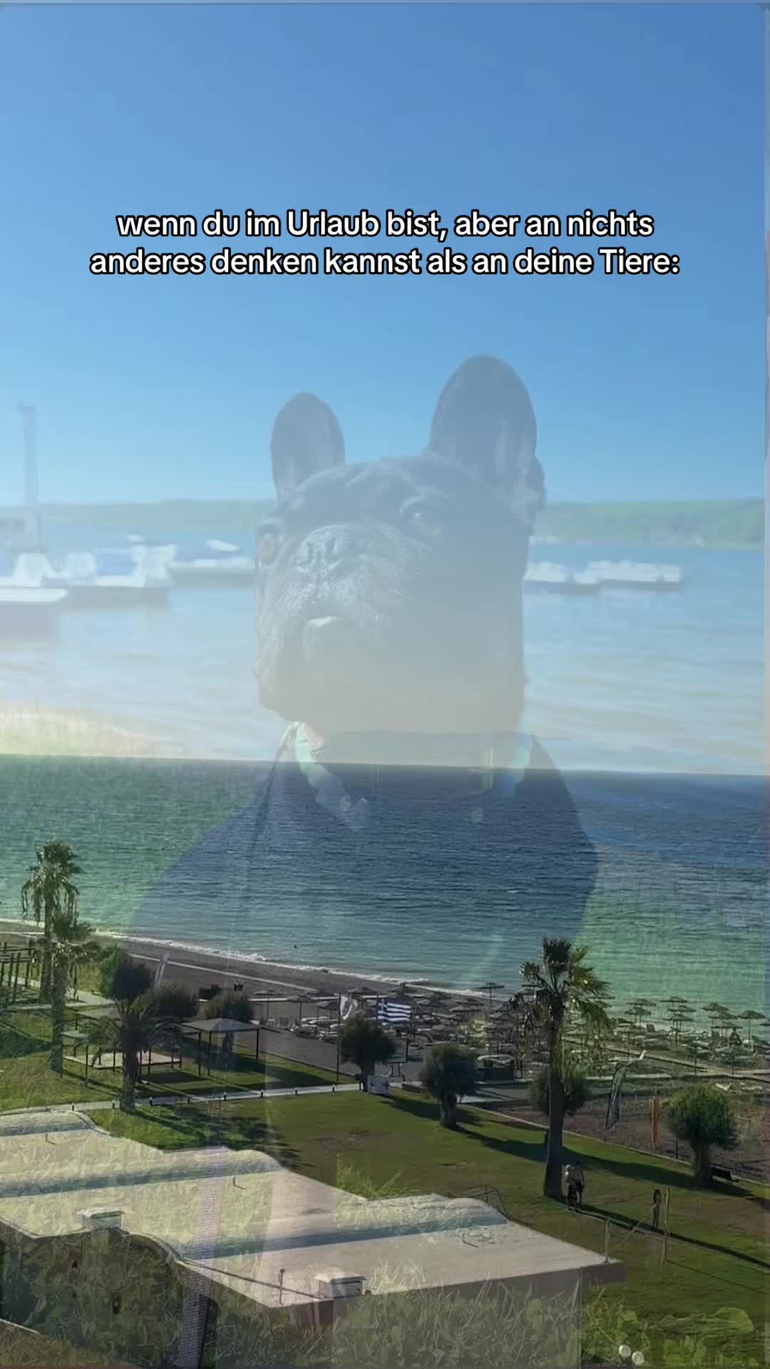 @𝕸𝖆𝖗𝖎𝖊 🦋