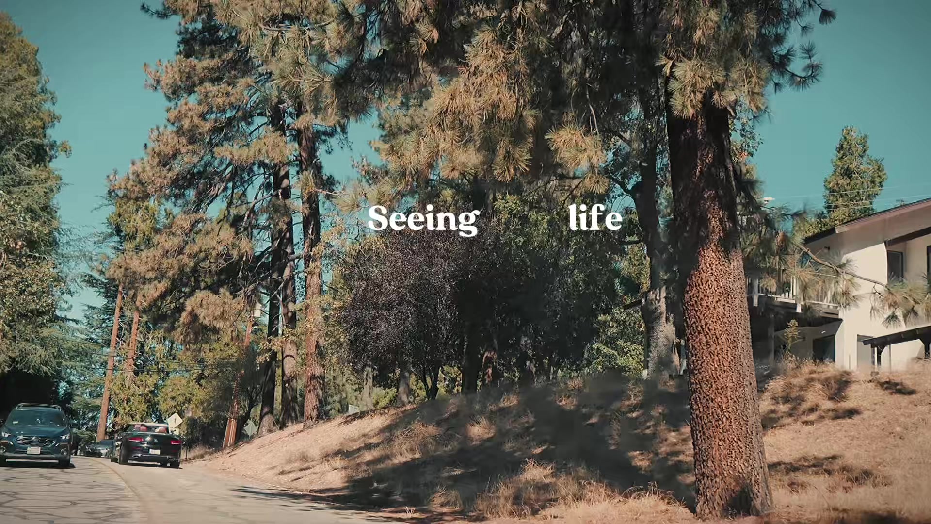@Viri | lifestyle creator