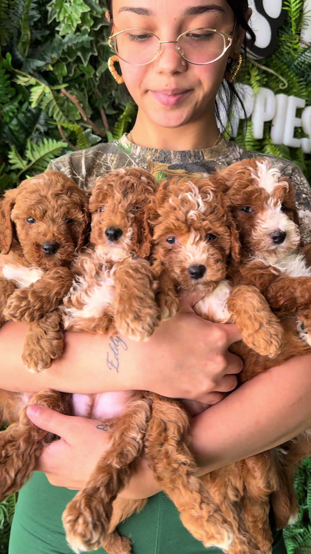 @FurbabyPuppies