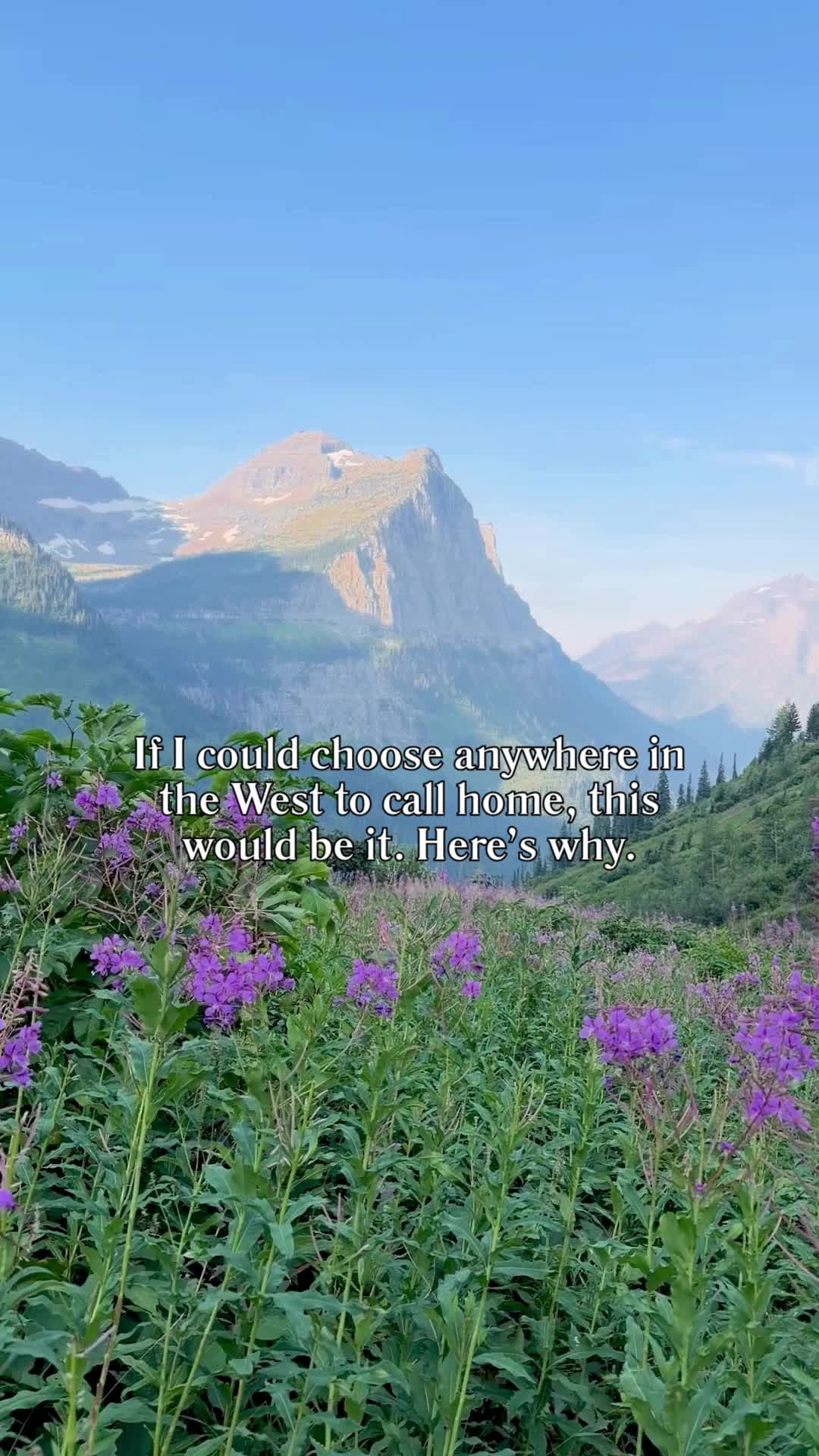 @montanamattproperties