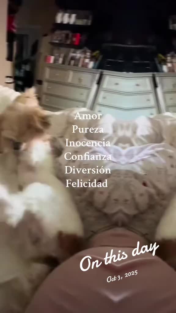 @Kirita17
