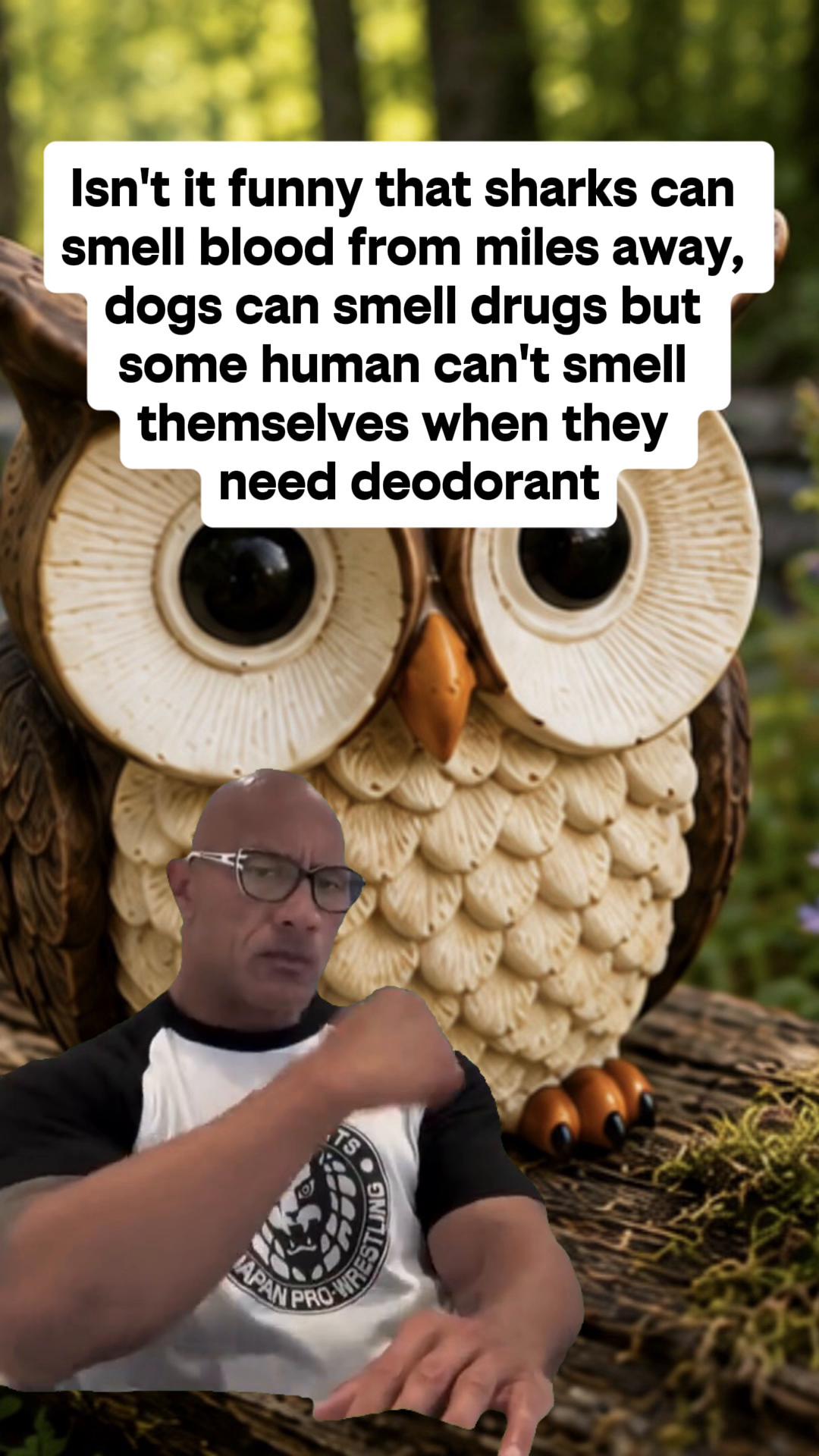 @Boredouttamymind
