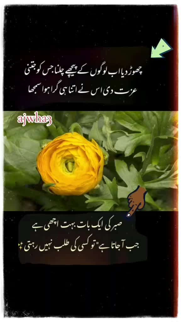 @shakir