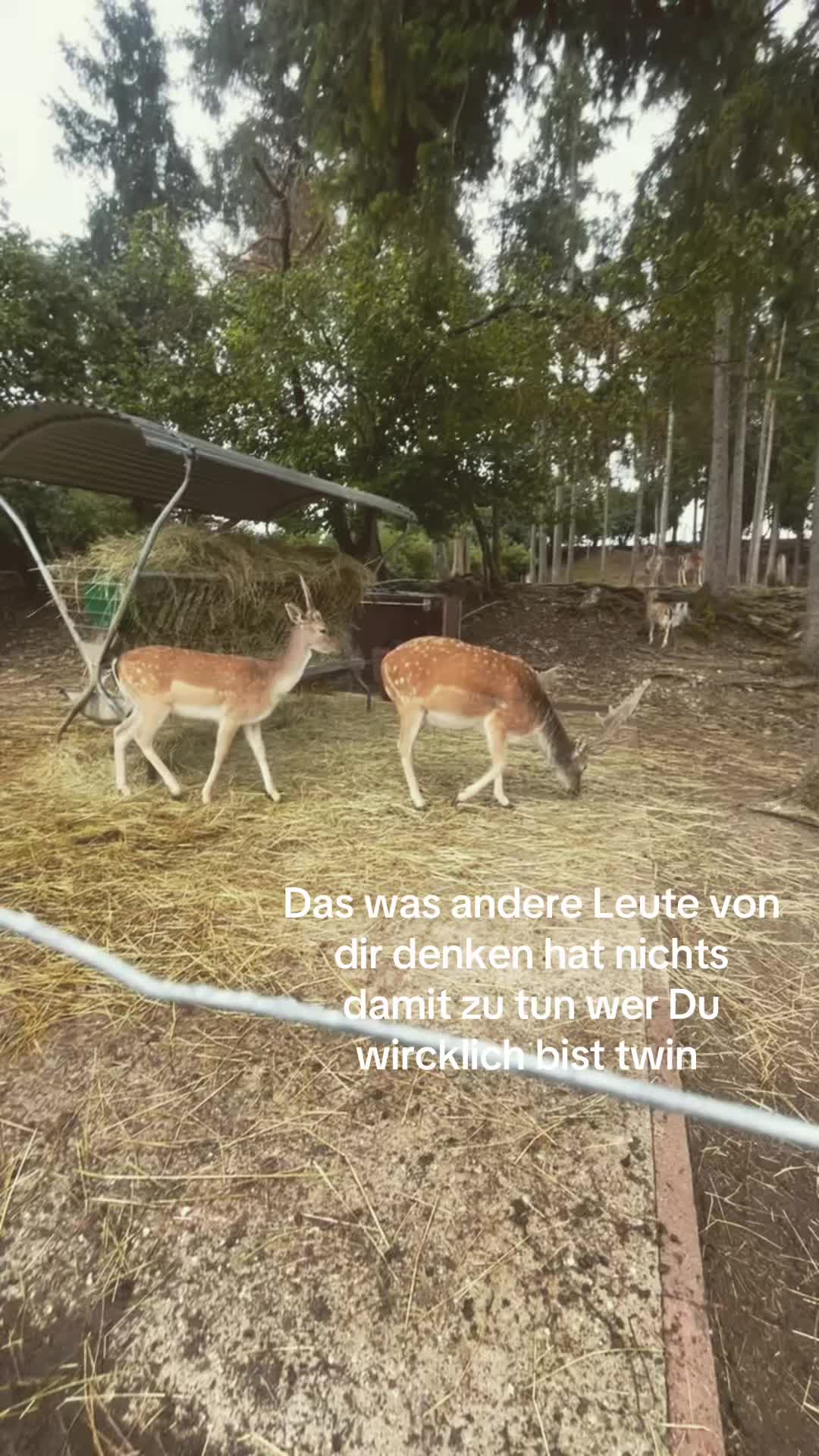 @Meloww💋💍