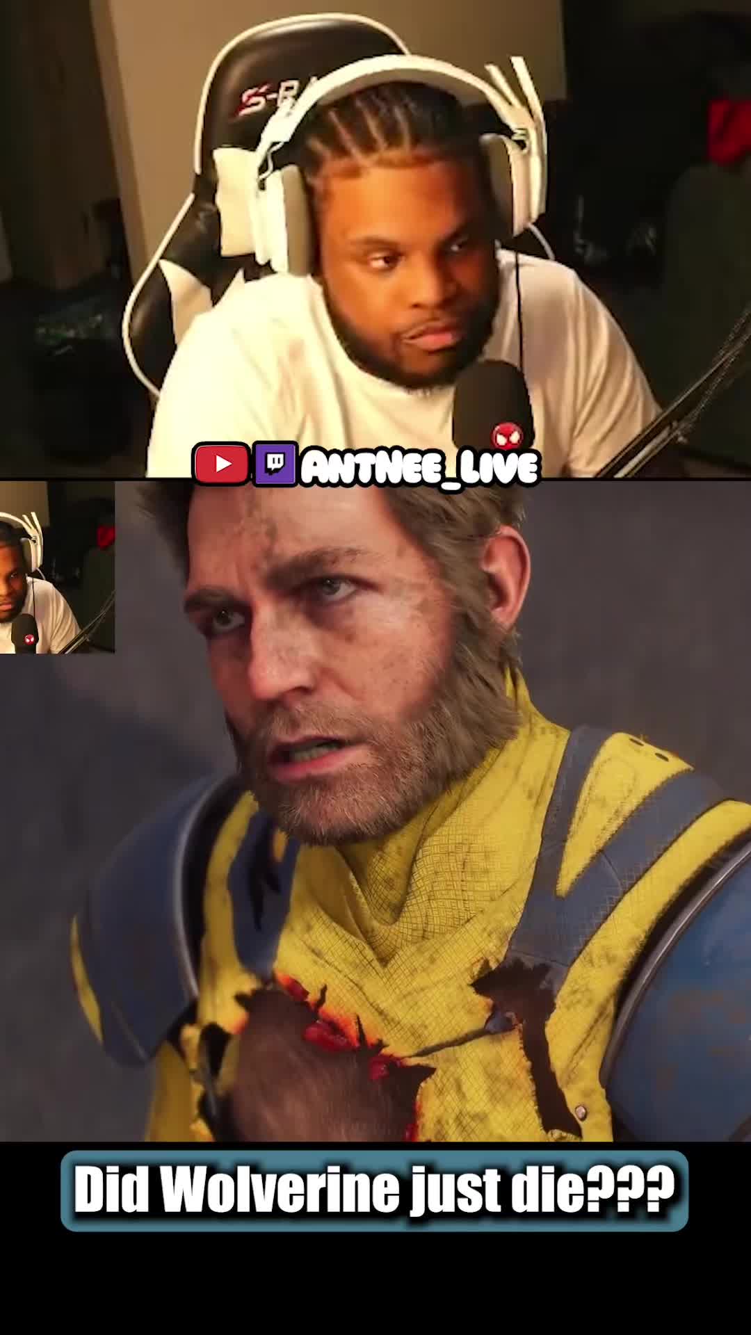 @AntNee Live