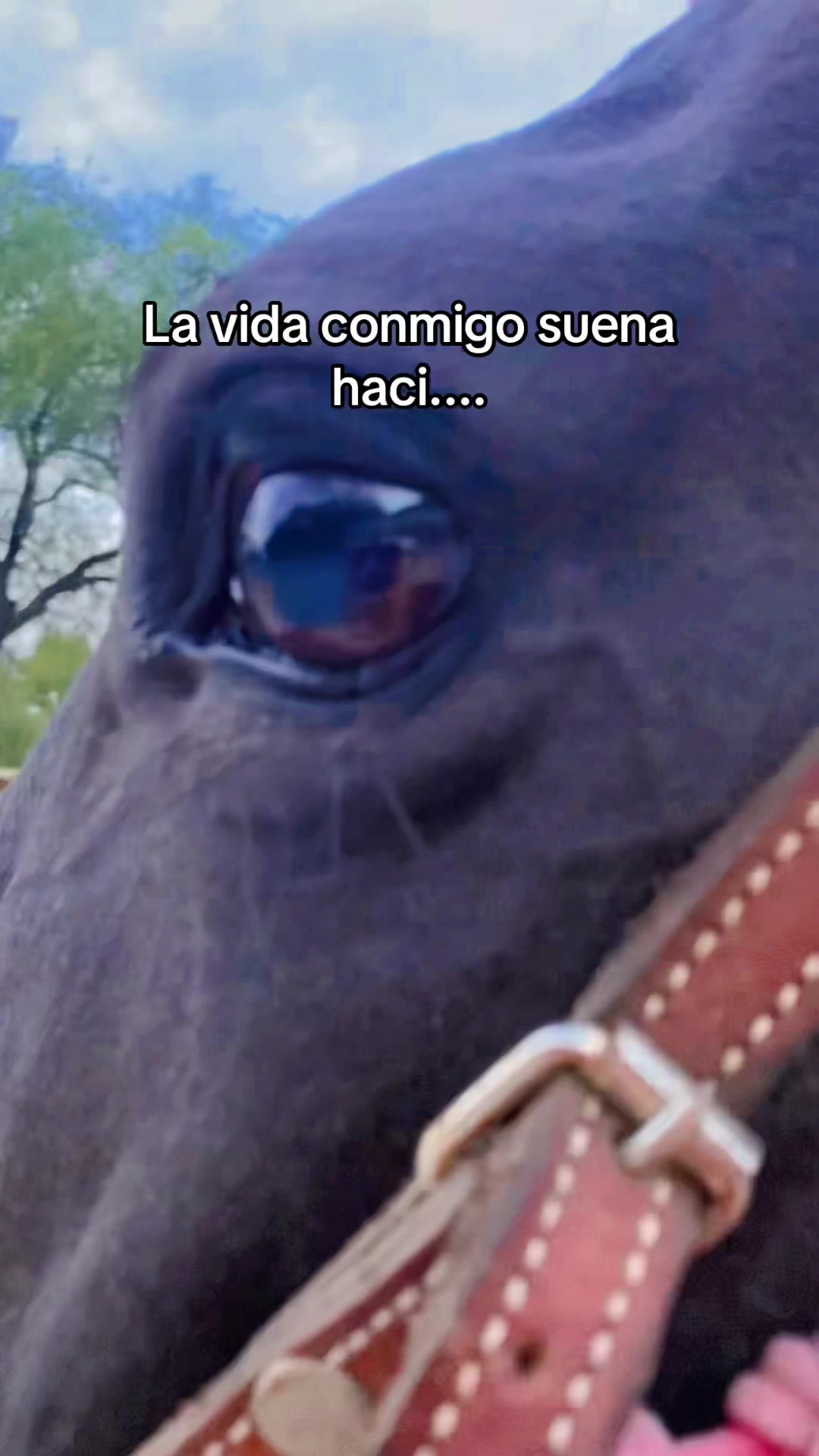 @Eztrhella Perez