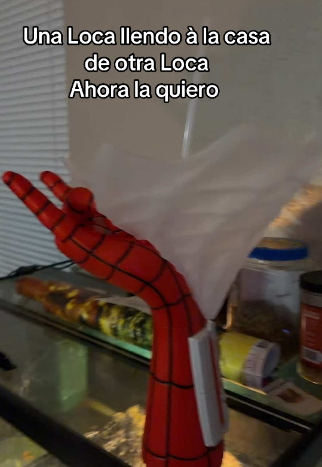 @sofy