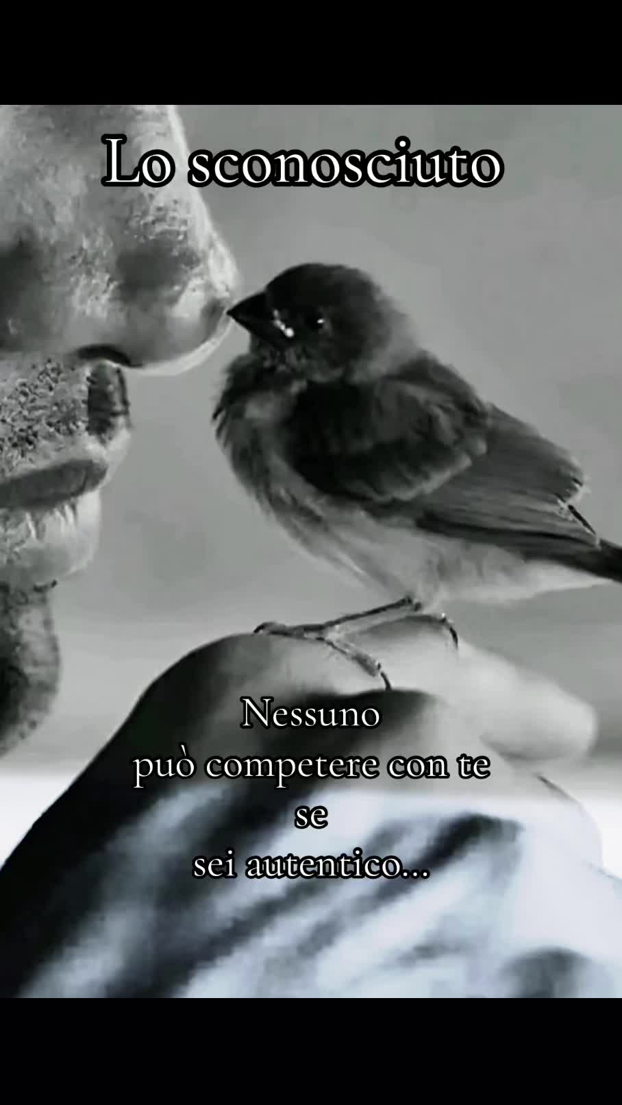 @Lo sconosciuto official