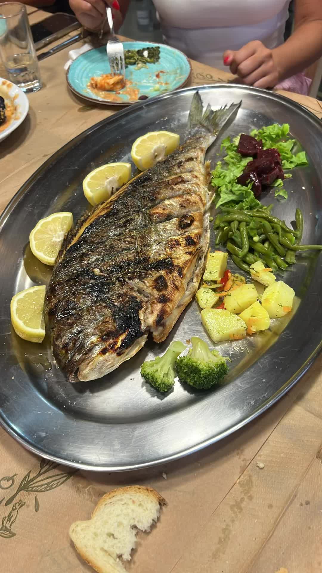@SHARK 🦈🇩🇪🇩🇪 بيروت