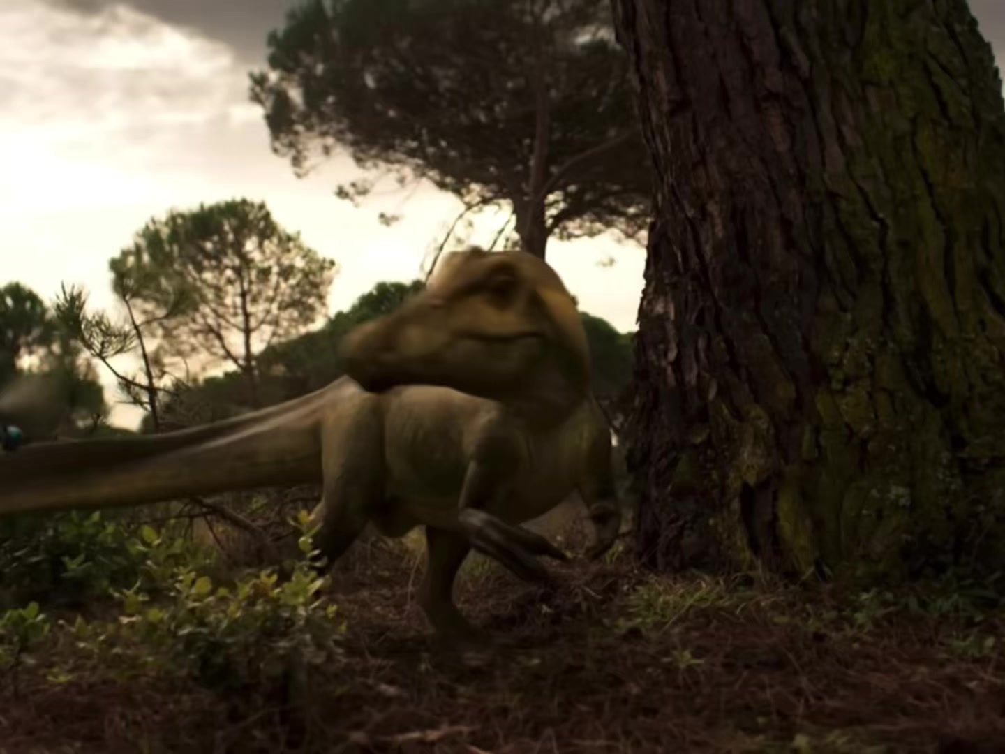 @HEXED🧬🦖