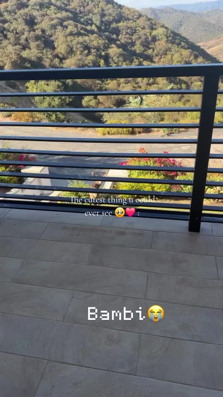 @𝐋𝐀𝐌𝐀