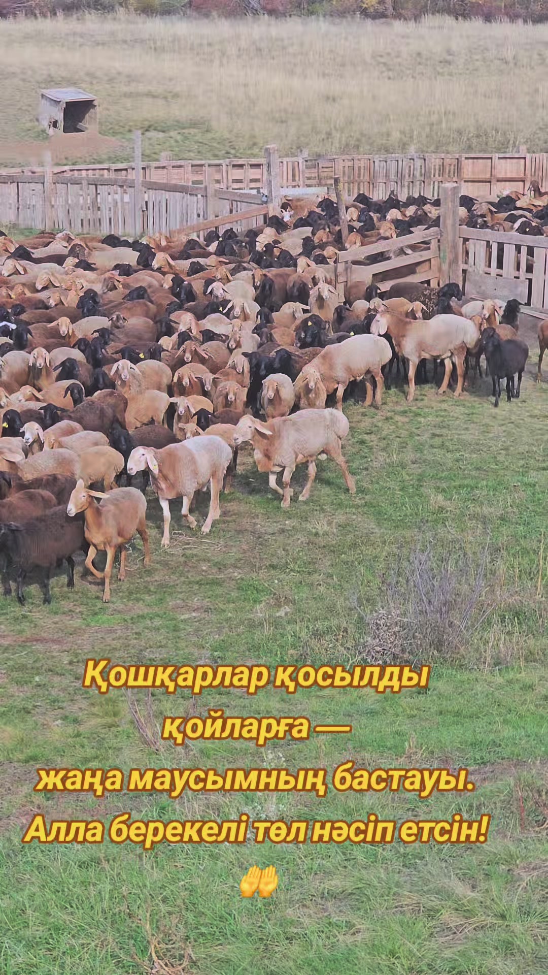 @Гани