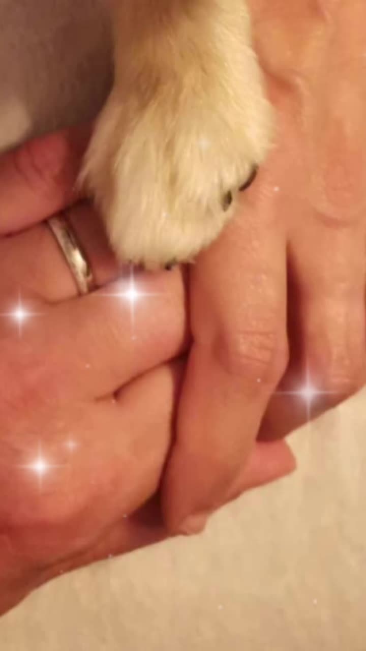 @antje&pupi