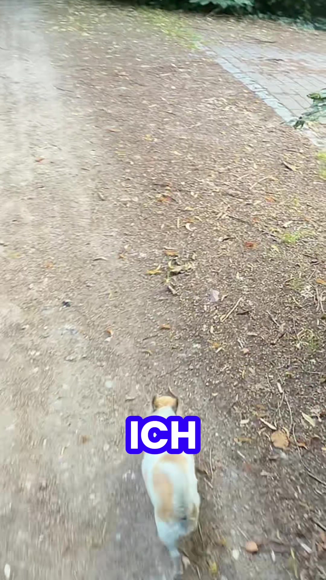 @christinbellnow
