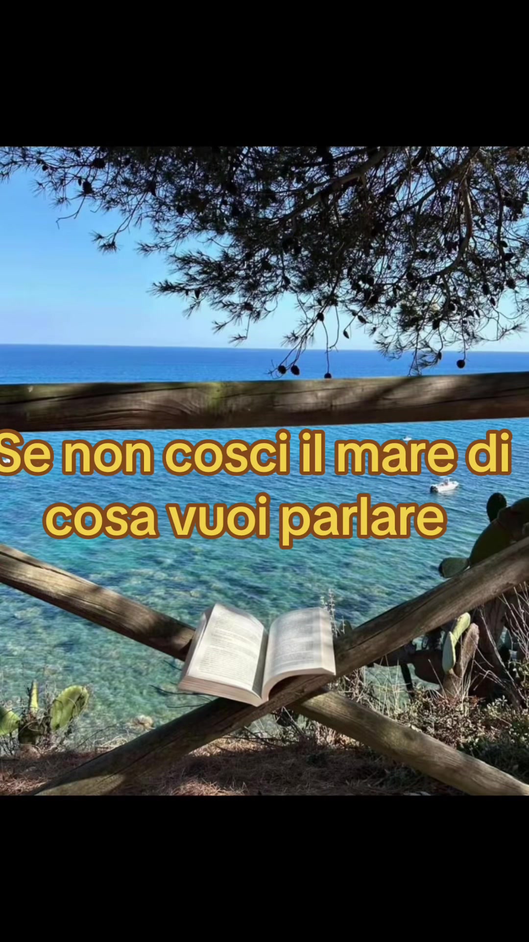 @miki