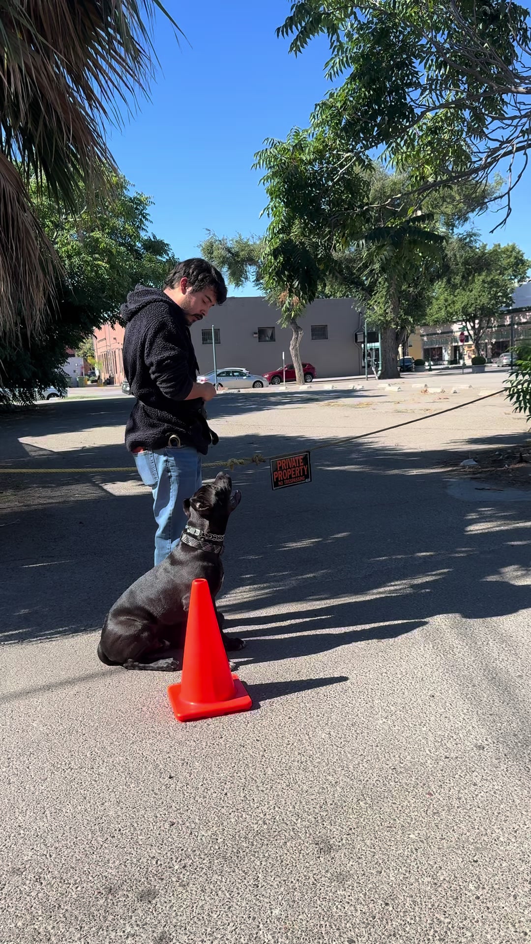 @Tactical K9s Dog Training