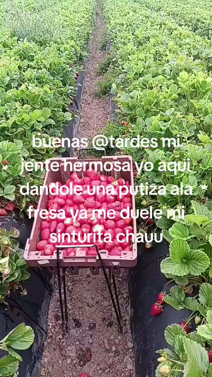 @catalinavlopez