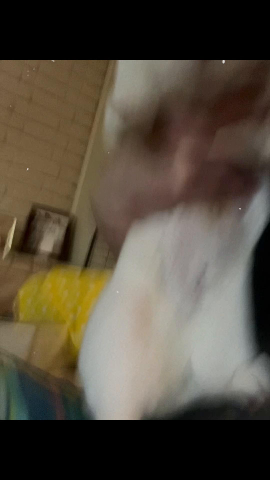 @AshleyTheCook