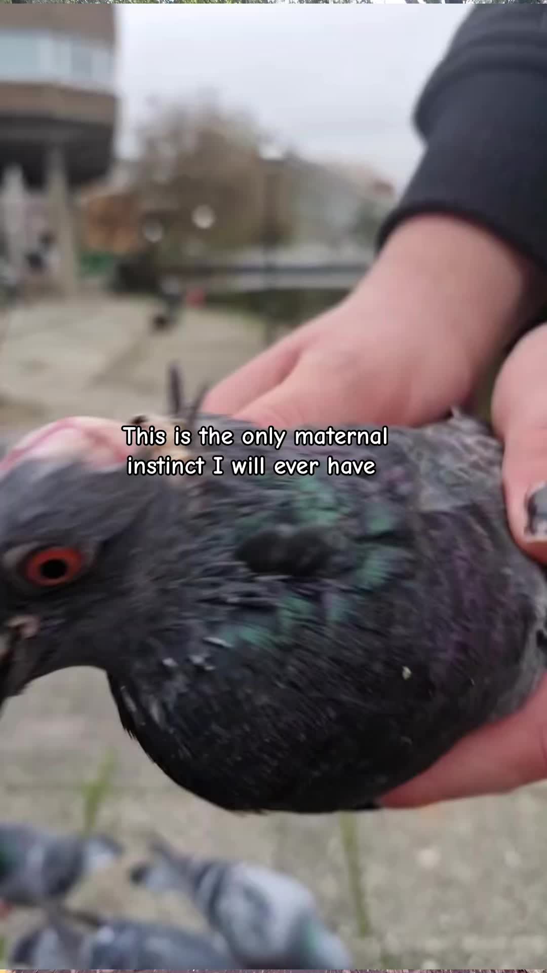 @𓆉𝓁𝒶𝓃𝒶𓆉