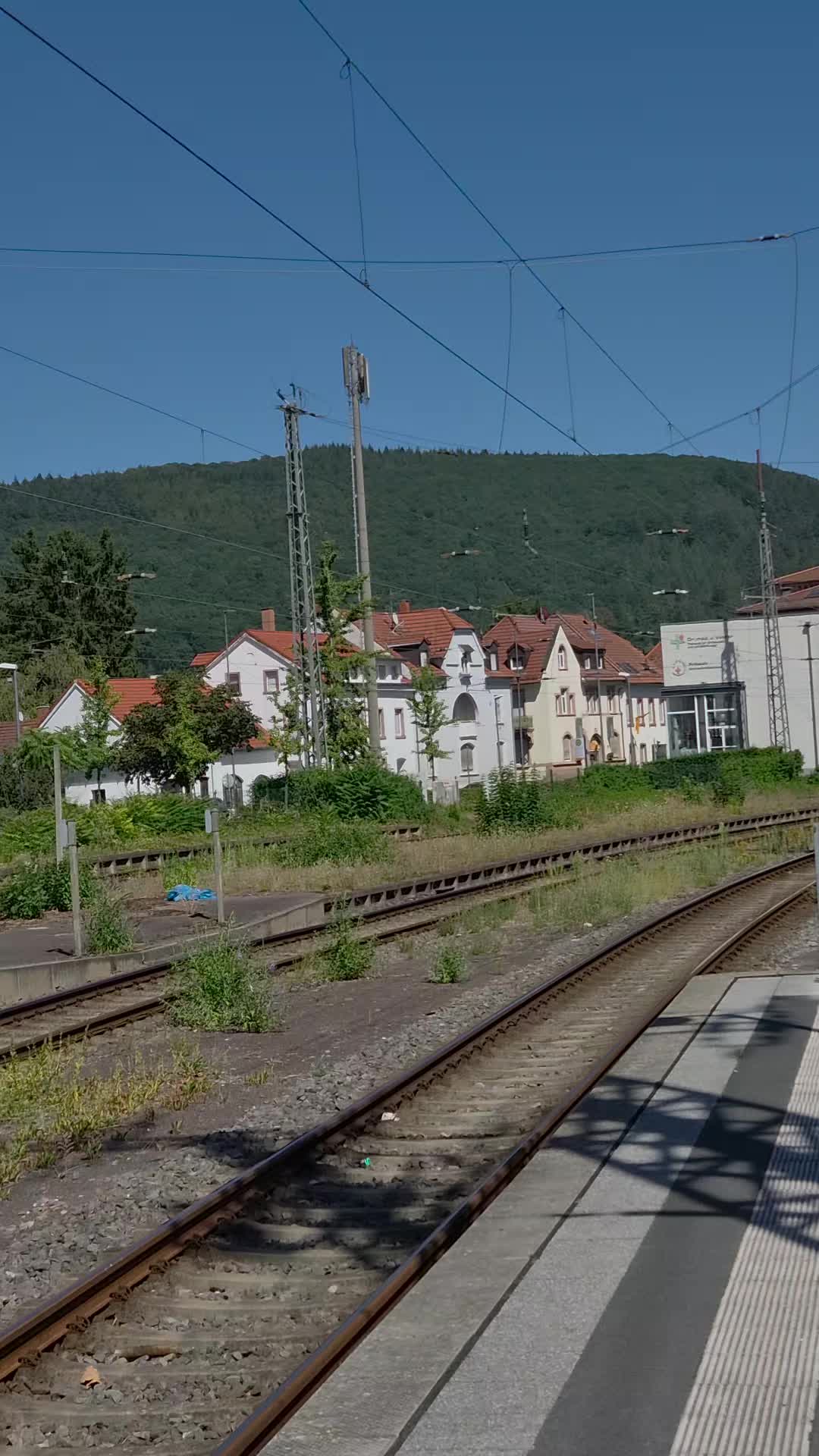 @Trainspotterin2026