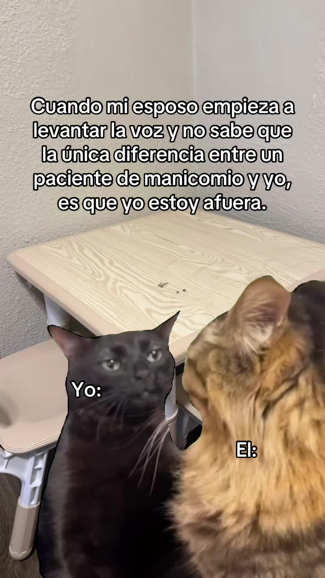 @ifuentesx 🪐⁷