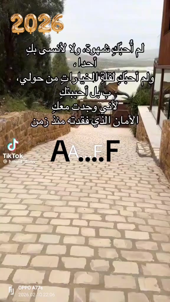 @salah dezam