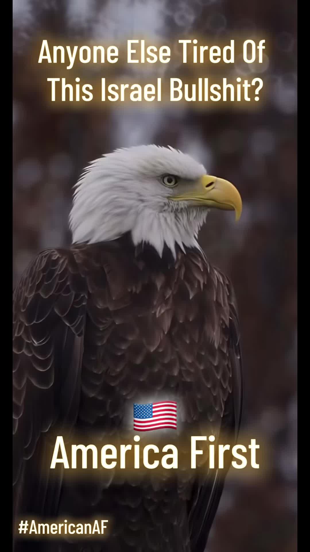 @Patriot🇺🇸AF
