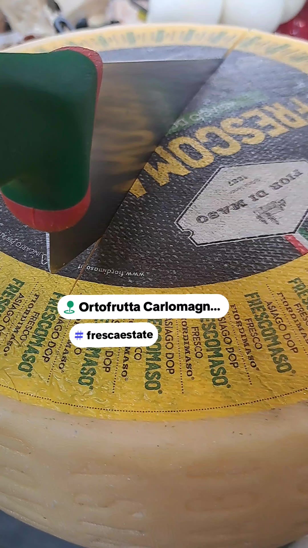 @carlomagnosalvato1