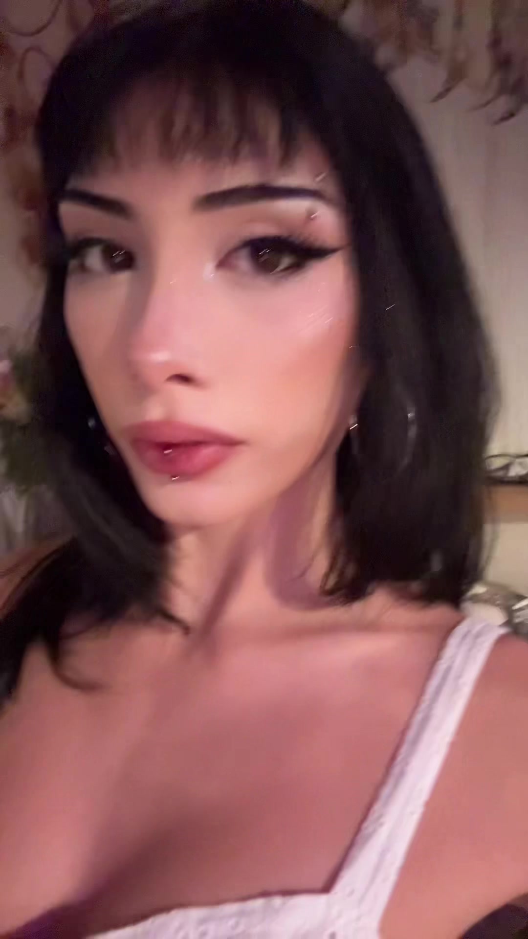 @🕊️