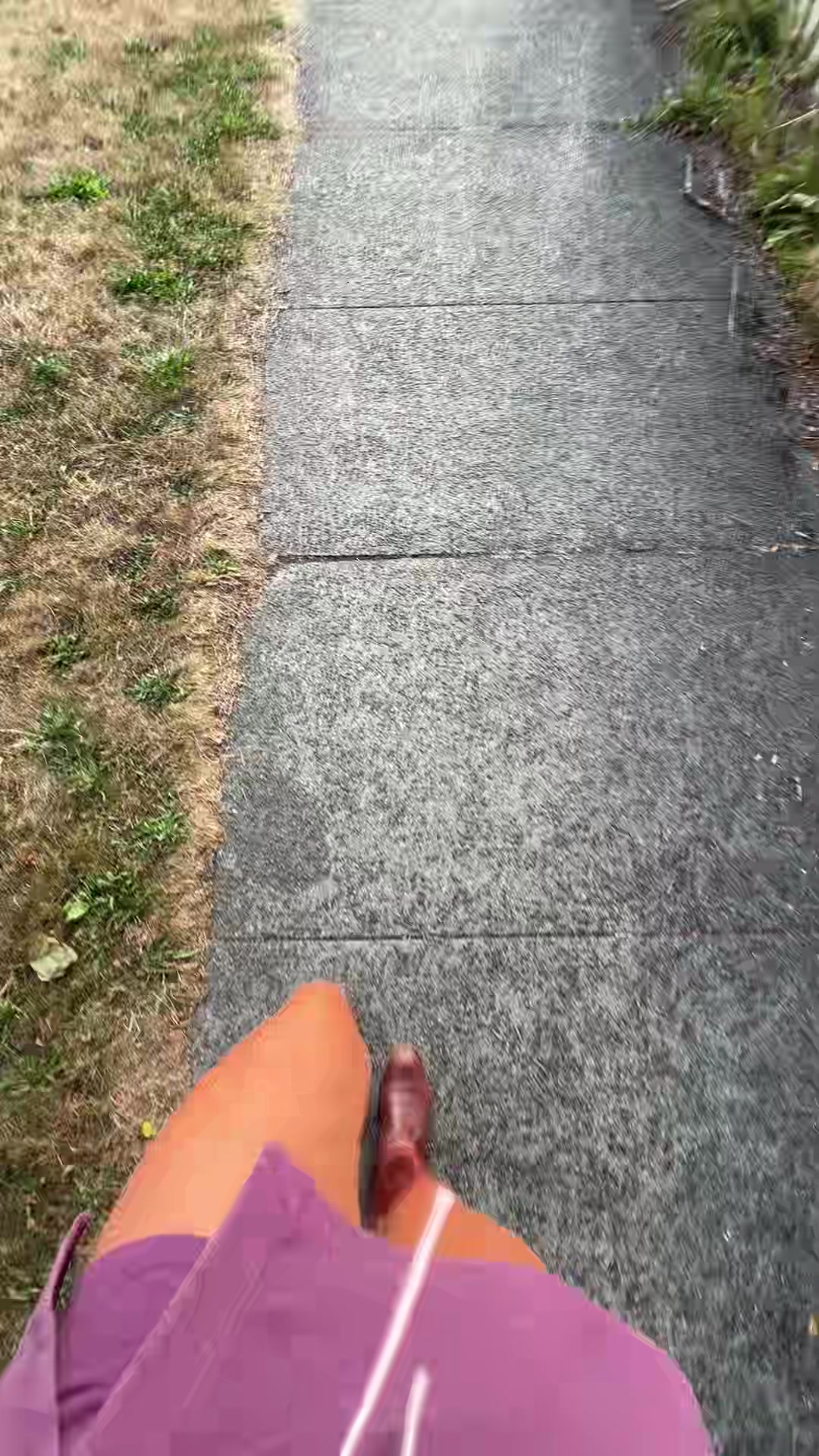 @Luci